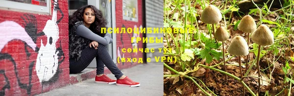 меф Переславль-Залесский