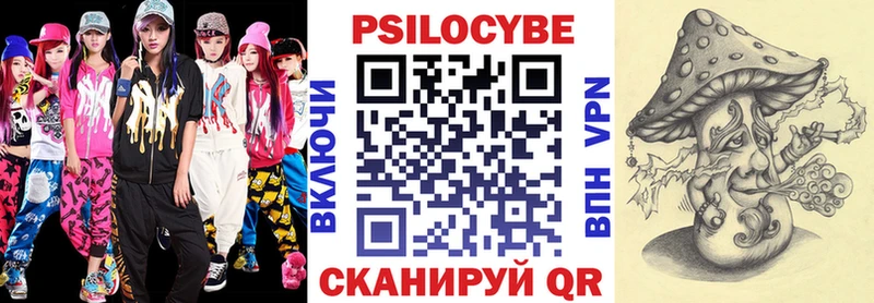 Псилоцибиновые грибы Psilocybe  Тырныауз 